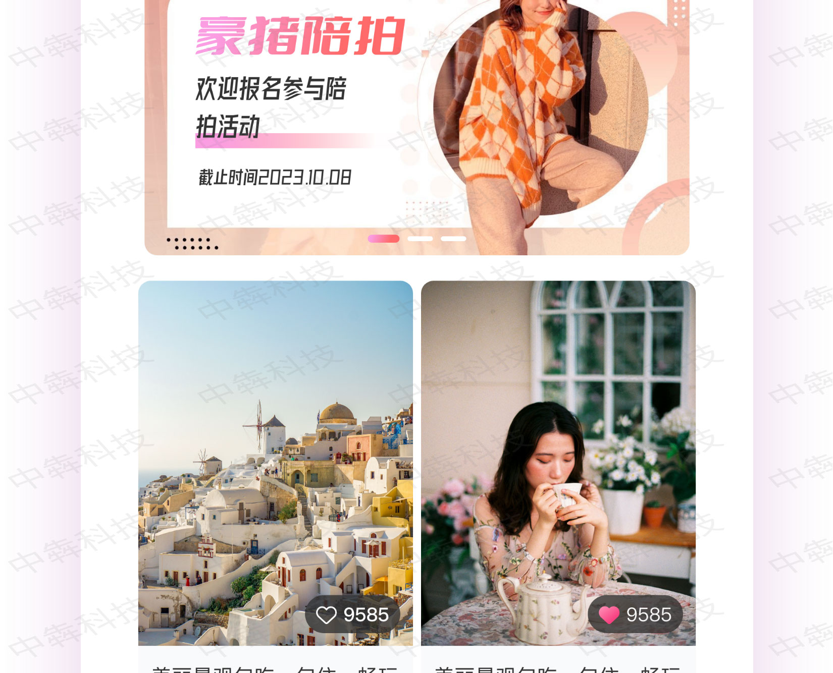 豪豬陪拍APP開發(fā)案例