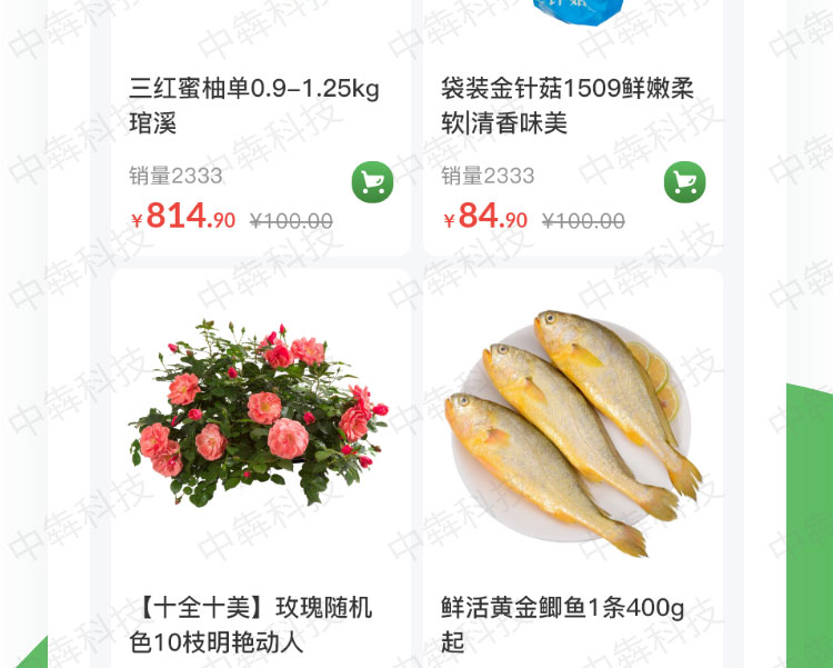 菜嘟嘟開發(fā)案例